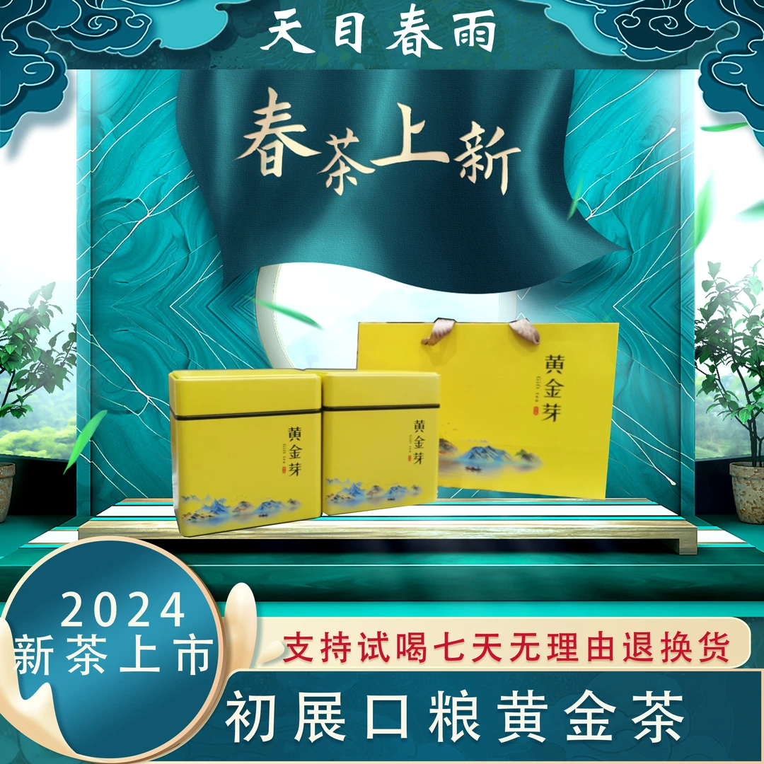 【2024初展口粮黄金茶】溧阳天目湖黄金茶雨前春茶栗香回甘可试喝