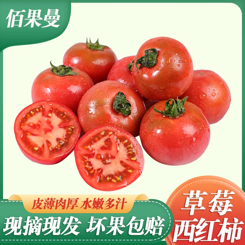 BAIGUOMAN/佰果曼山东新鲜现摘草莓西红柿铁皮番茄3/4.5斤