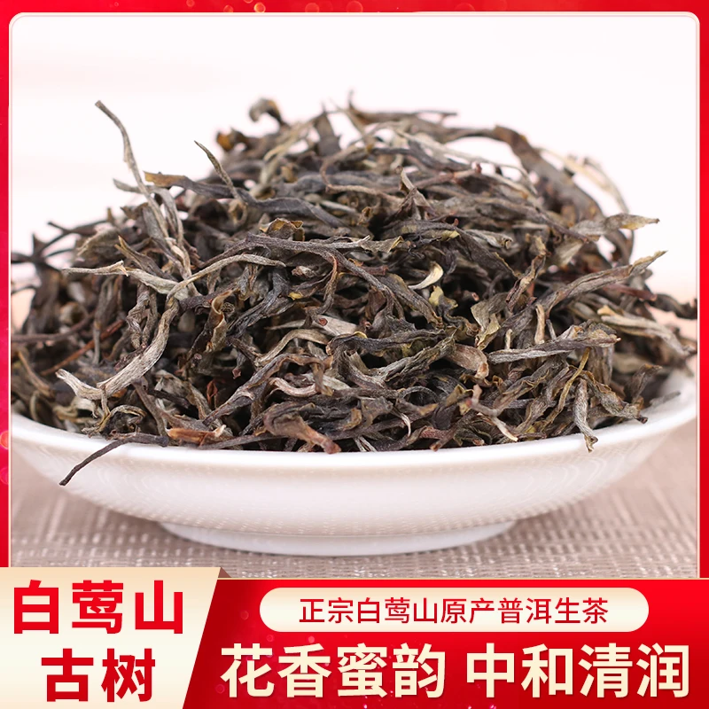 2025年云南普洱茶叶白莺山头春头采古树生茶