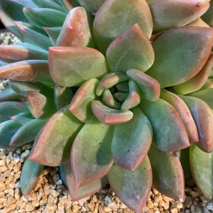 凭**跃我是真的很喜欢