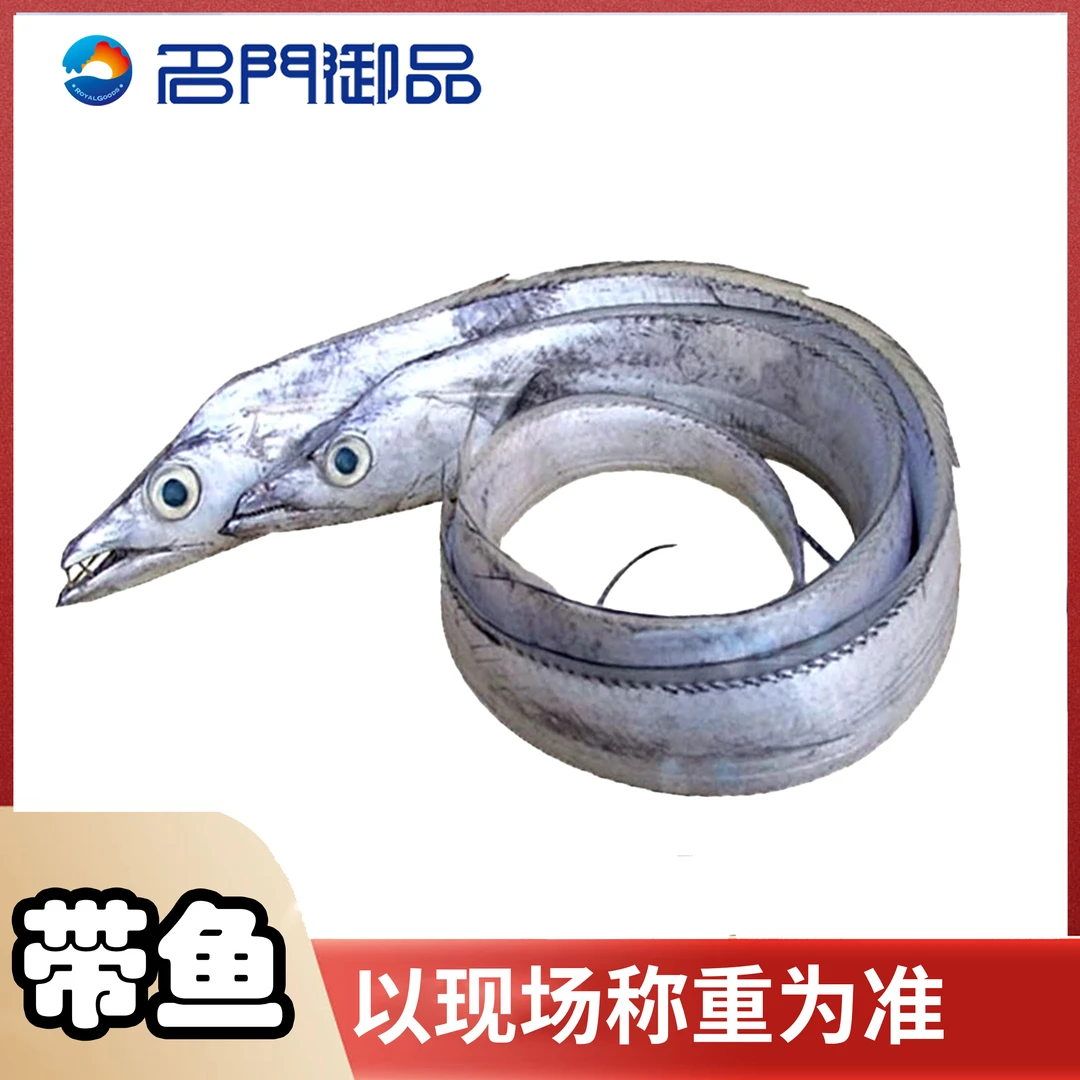 【带鱼】新鲜名门御品福建省内可拍可能会破肚介意不拍