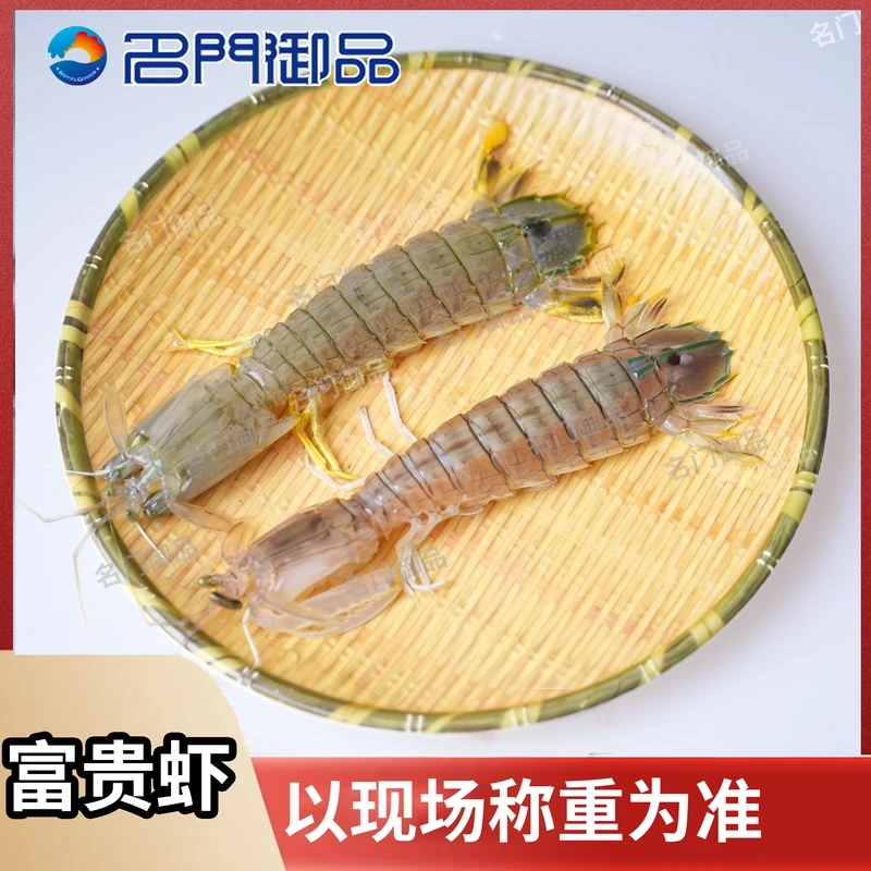 【睡着/富贵虾】【收到务必马上烹饪】泰国富贵虾/皮皮虾直播称重