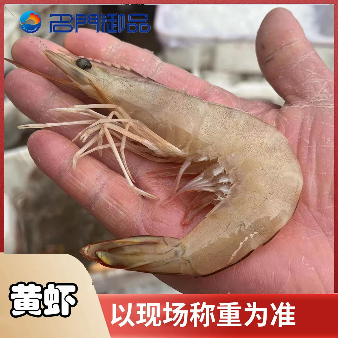 【黄虾3斤】海产品黄虾新鲜海鲜（福州发货）保鲜不活