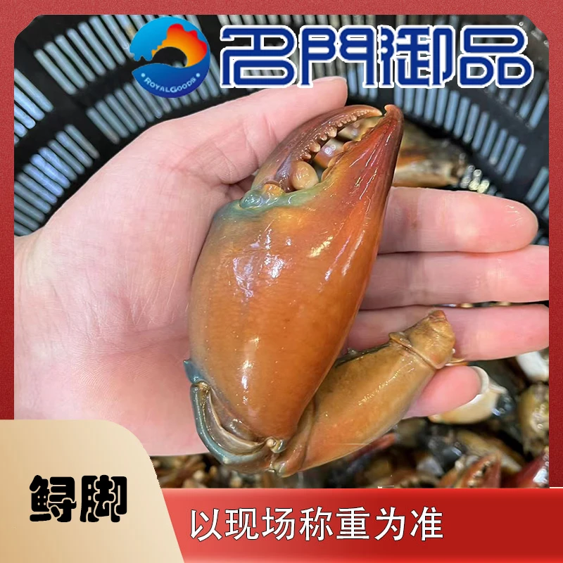 【鲟脚】【收到需速冻保存】【有大小差异】新鲜美味青蟹脚福建省内可拍