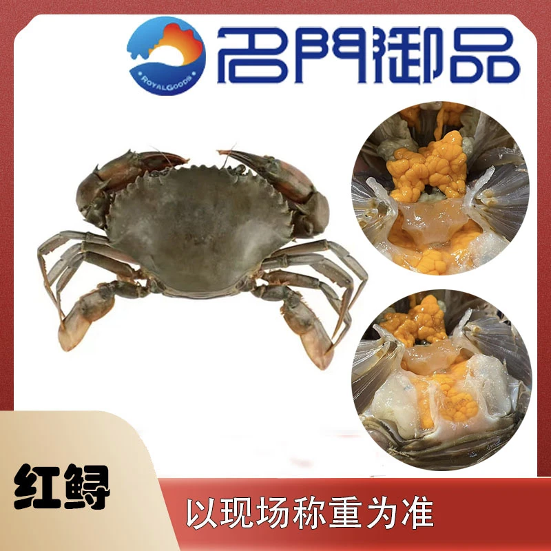 【名门御品】本地红鲟3只（福州）发货省外可拍勿放冰箱