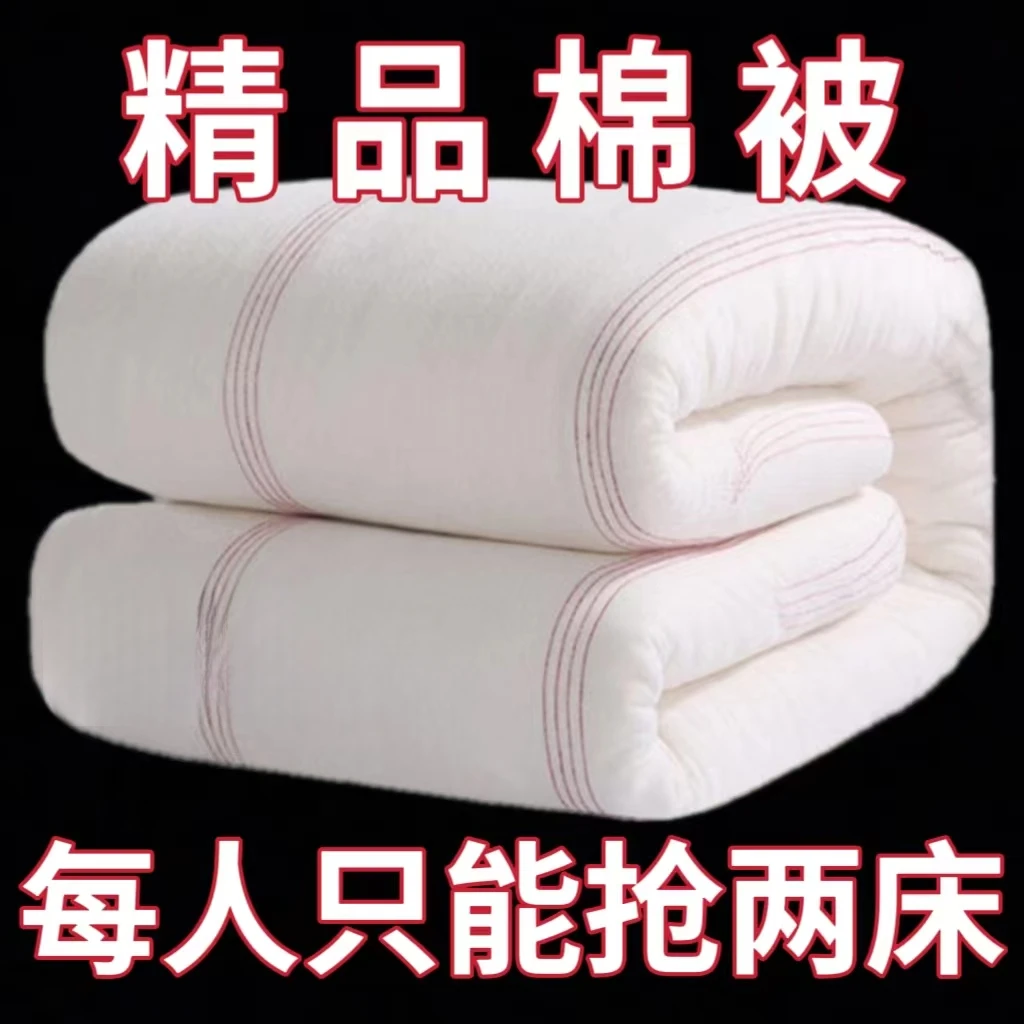 冬被棉被棉絮被芯褥子垫被冬季加厚酒店学生寝室卧室单人双人被