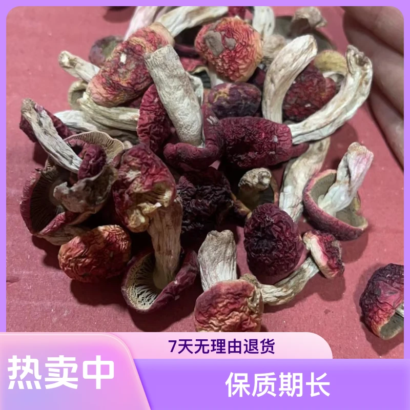 【爬爬姐推荐】云南红菇 称重500克