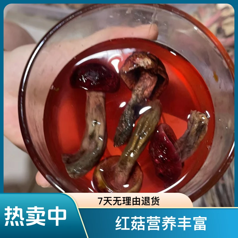 【爬爬姐推荐】三明菇（红菇）称重500克