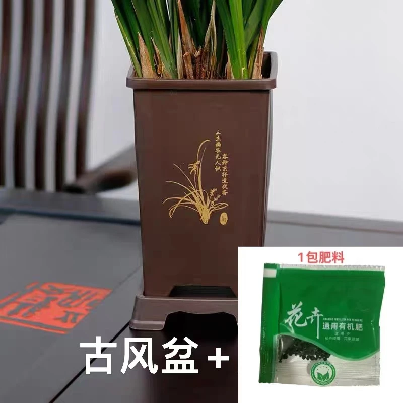 1个古风盆＋1包肥料