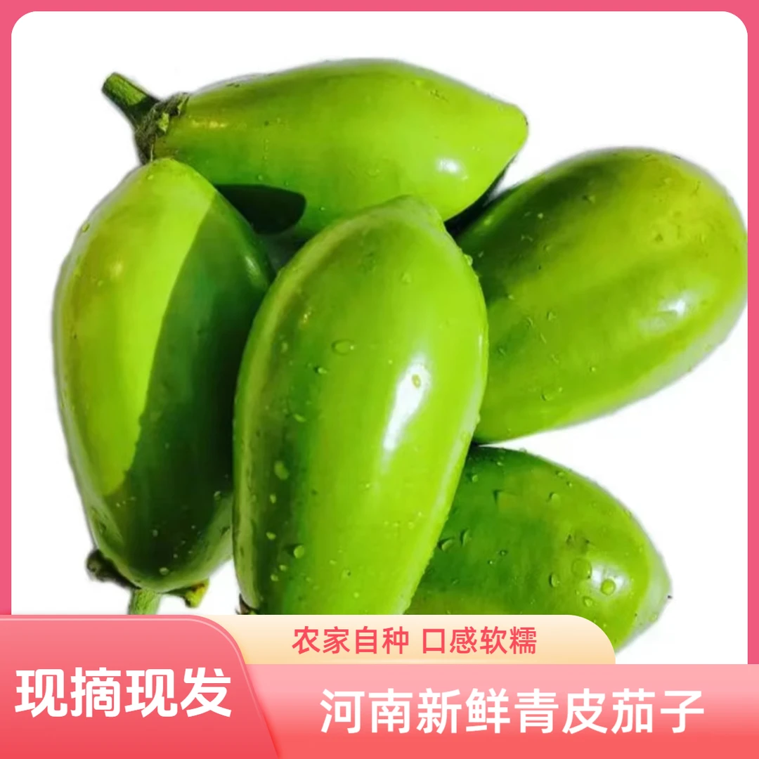 河南农家现摘青茄子现发青茄子3斤装5斤装农产品蔬菜