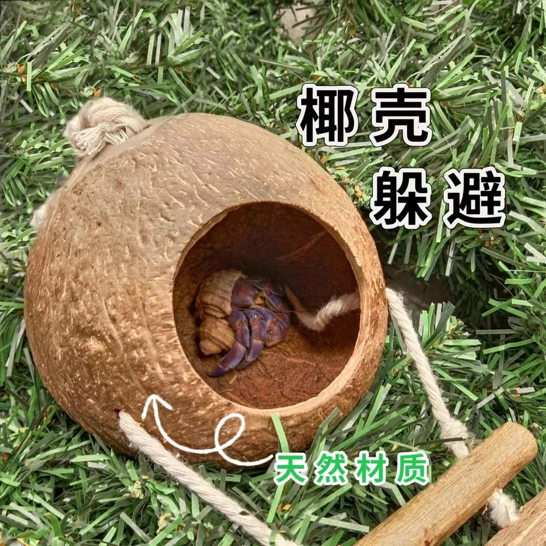 天然椰壳躲避寄居蟹躲避守宫蜥蜴阐述躲避洞爬虫箱椰子壳洞穴