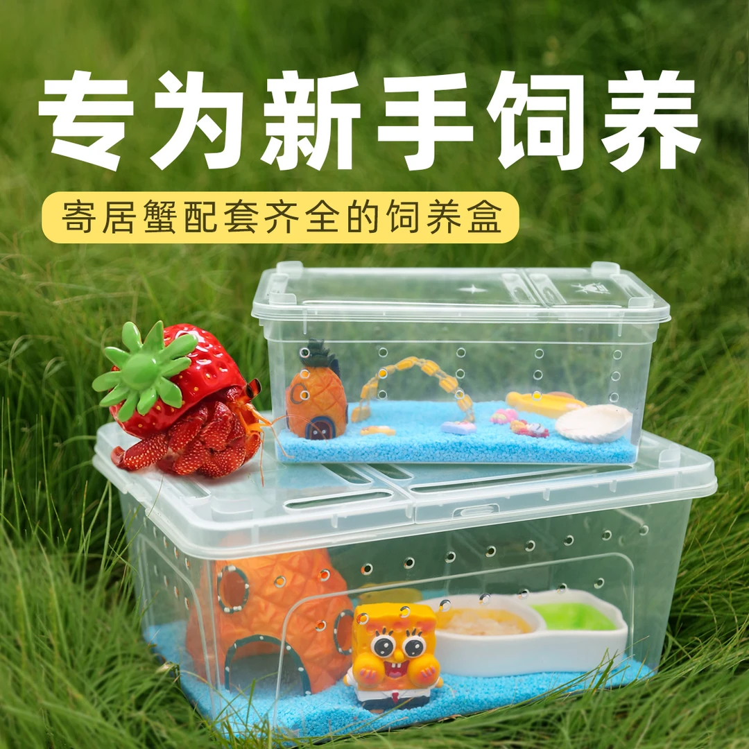 寄居蟹新手套餐饲养箱盒~饲养用品相守蟹套装桌面寄居蟹饲养箱