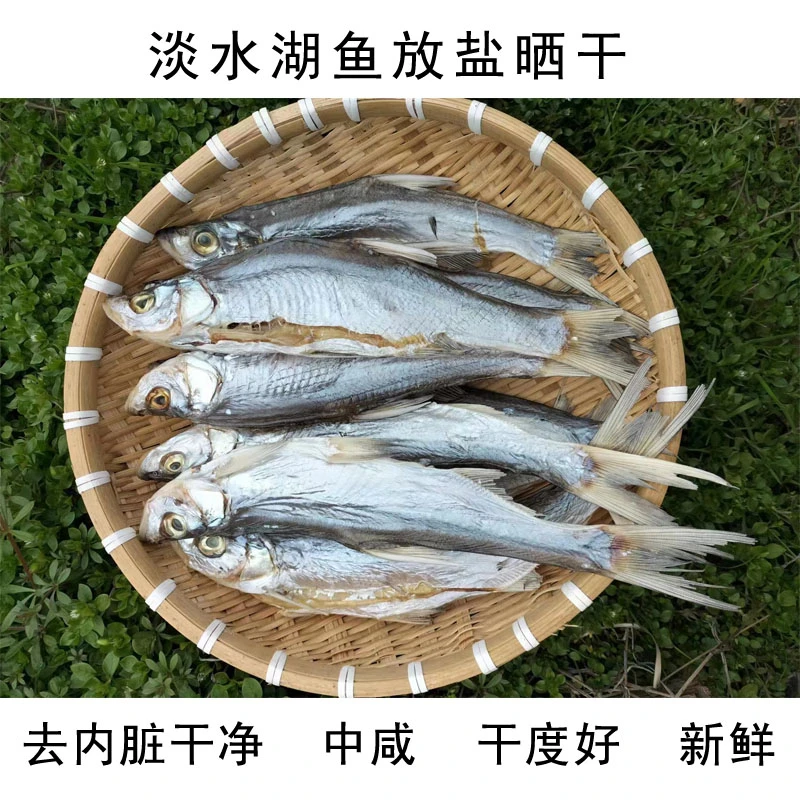 江西鱼干翘嘴白鱼干大翘嘴鱼干风干鱼大干鱼咸鱼500克