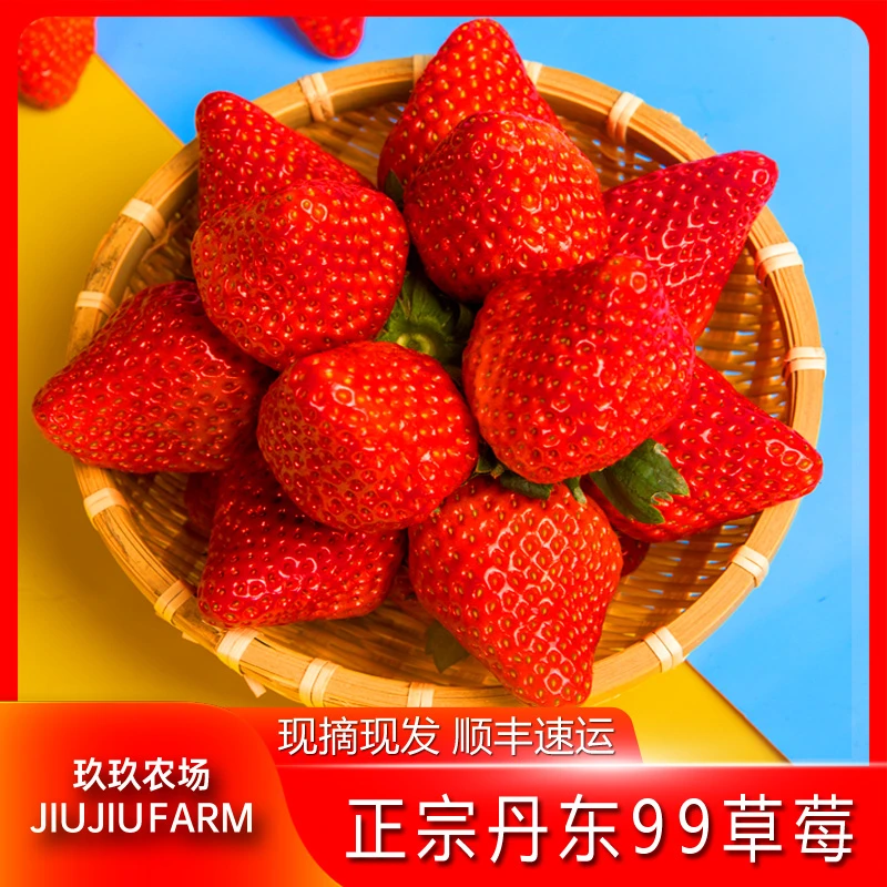 正宗丹东99草莓900g/1250g原产地红颜九九东港大草莓家庭装礼盒装