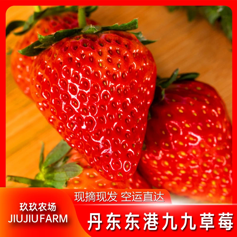 【空运包邮】丹东东港99草莓新鲜水果丹东九九草莓红颜草莓礼盒SS