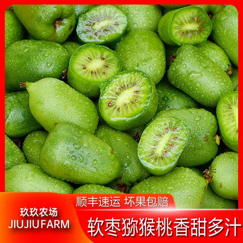 【顺丰包邮】软枣猕猴桃奇异莓礼盒吃软不吃硬越软越香甜新鲜猕猴桃