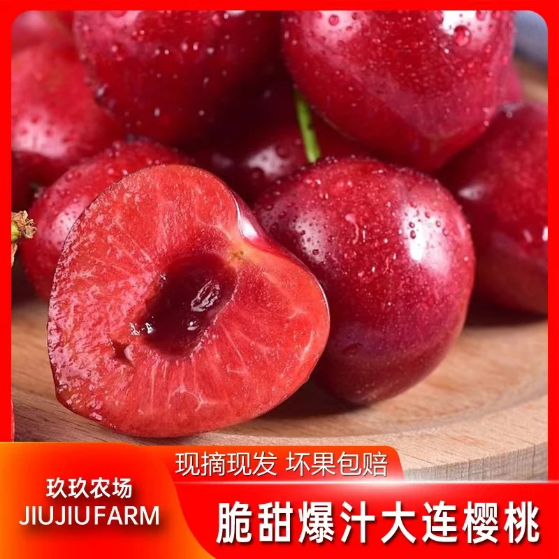 【顺丰包邮】大连大樱桃大果新鲜脆甜爆汁大连产地直发直供多汁甄选