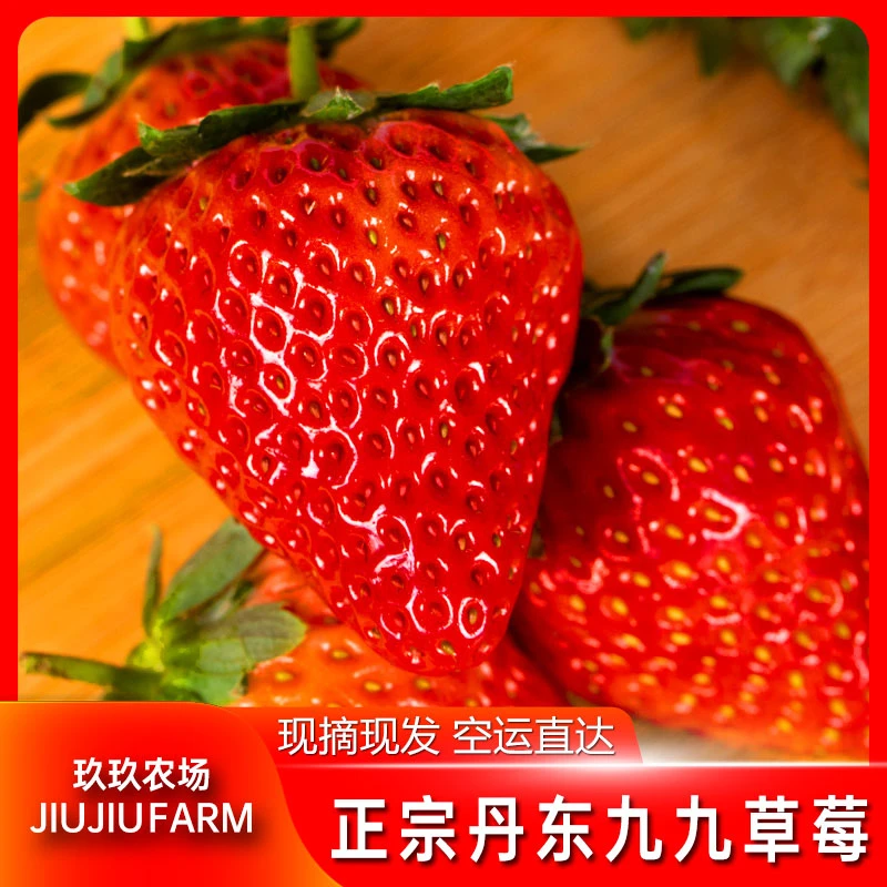 【空运包邮】正宗丹东99草莓新鲜900g红颜东港九九草莓原产地包赔S