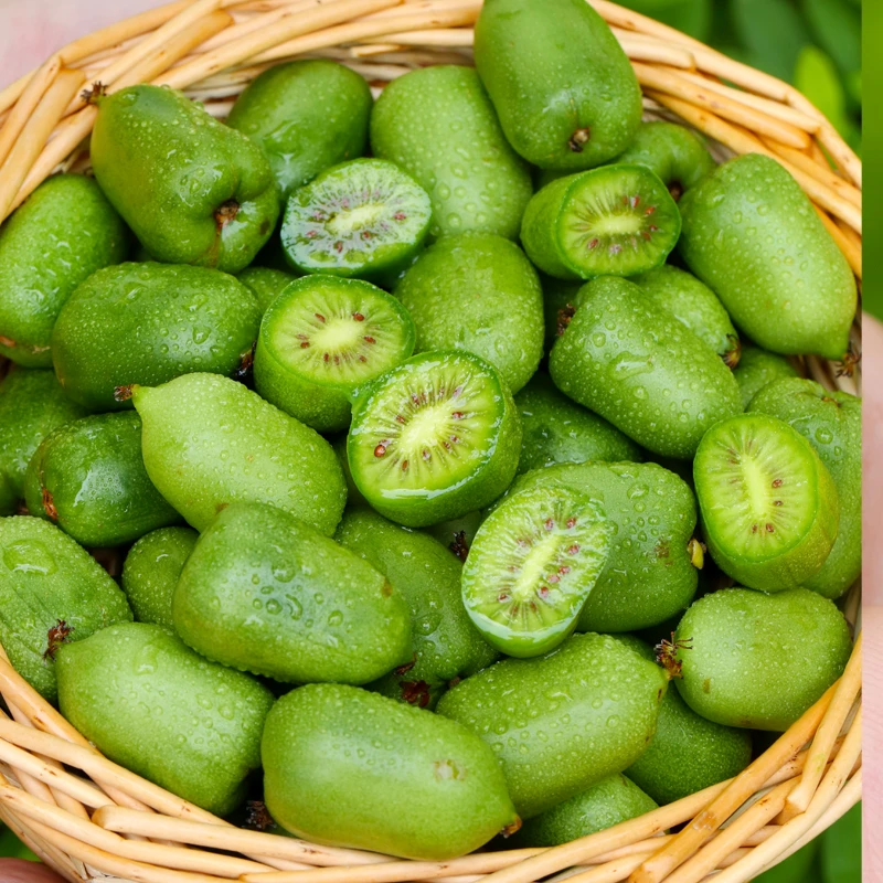 【玖玖农场】辽宁软枣猕猴桃奇异莓1/2/3斤