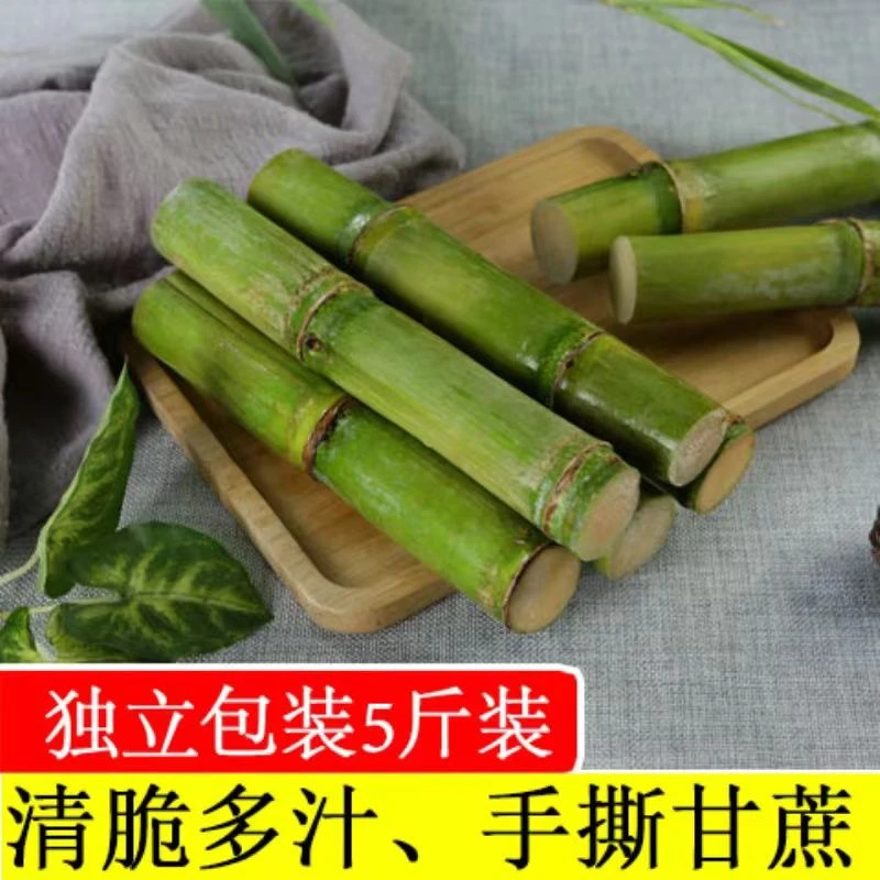 正宗青皮甘蔗新鲜绿皮甘蔗 新鲜水果脆皮甘蔗手撕皮陶山甘蔗