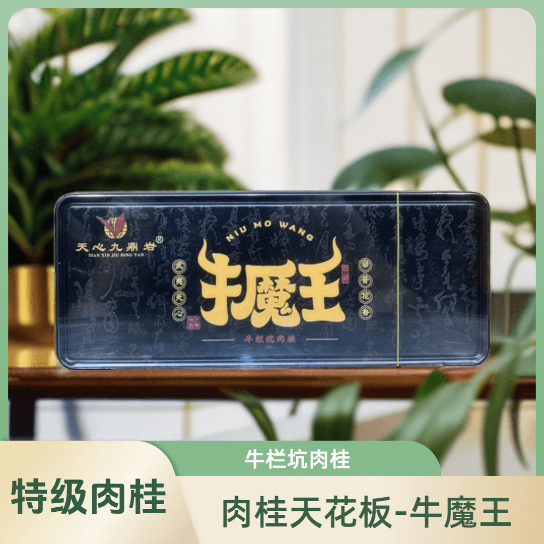 特级【十品-牛魔王-牛栏坑肉桂】高货天花板