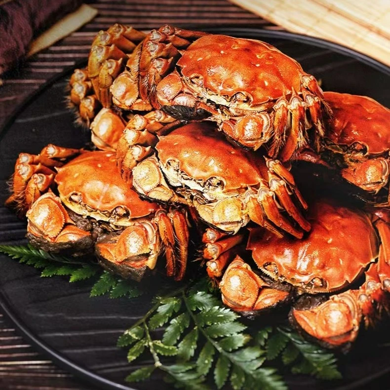 【复购推荐】【五盒十只蟹】花雕熟醉蟹2.5两母蟹礼盒大闸蟹熟食即食