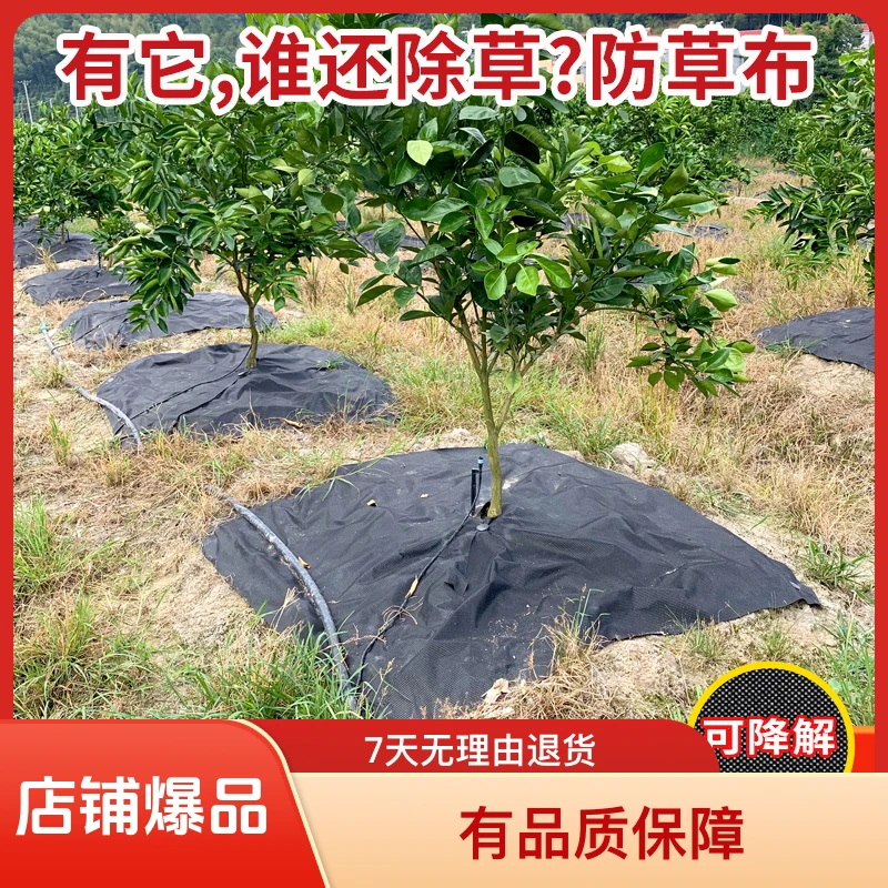 可降解生态防草布可降解无污染透气透水保湿保肥抗老化防病虫全新
