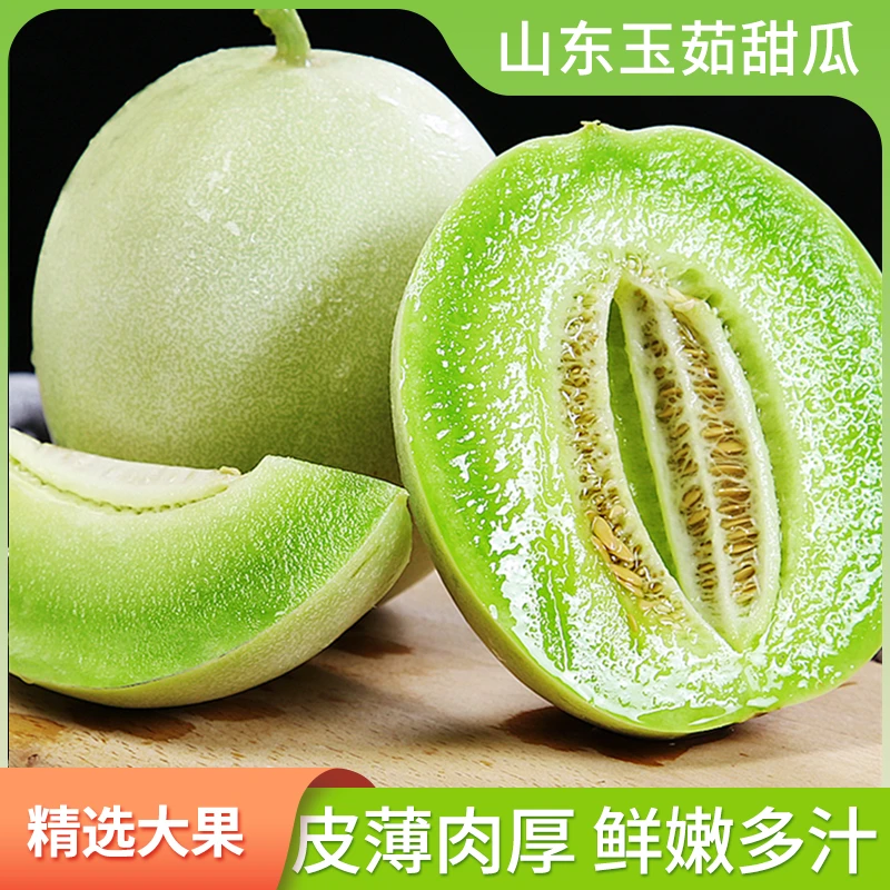 正宗山东玉菇甜瓜  香甜可口源头直发包邮采摘  DD