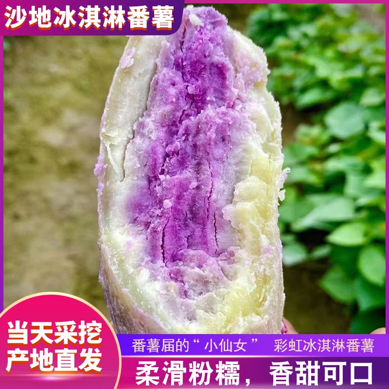 广东沙地冰淇淋紫薯红薯一点红番薯粉糯香甜3斤5斤9斤装地瓜新鲜