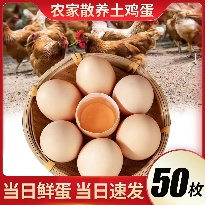 （小倩家土鸡蛋）正宗散养谷物喂养土鸡蛋新鲜到手50枚粉【顺丰包邮】