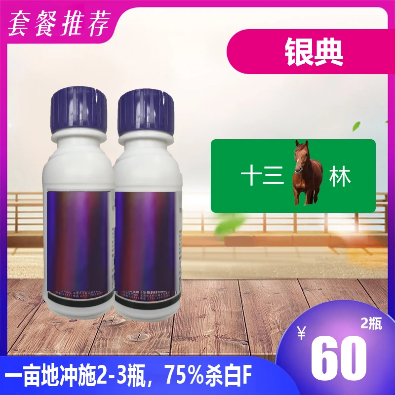 银典-草莓小工具