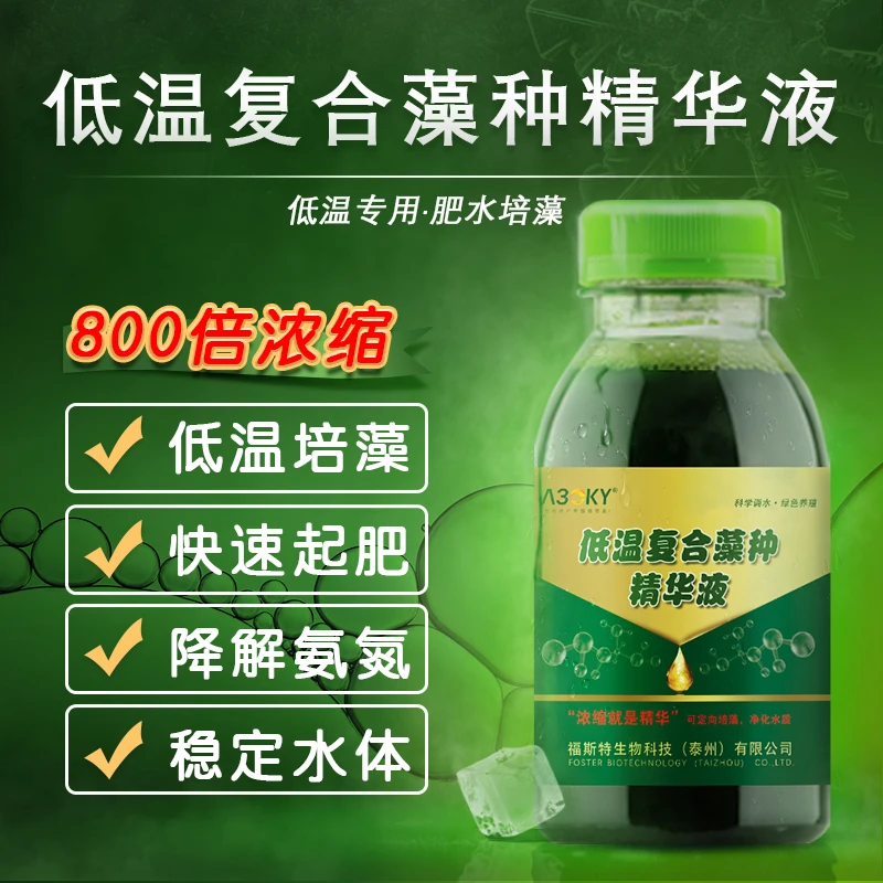 低温浓缩复合藻种水产养殖小球藻适用鱼塘肥水产品培藻调水使用