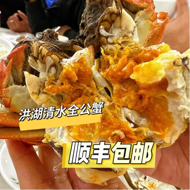 【全公蟹】3.6-3.3两全公蟹8只/10只装洪湖清水大闸蟹活蟹顺丰包邮