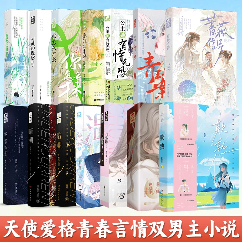 特价】天使爱格青春言情双男主小说