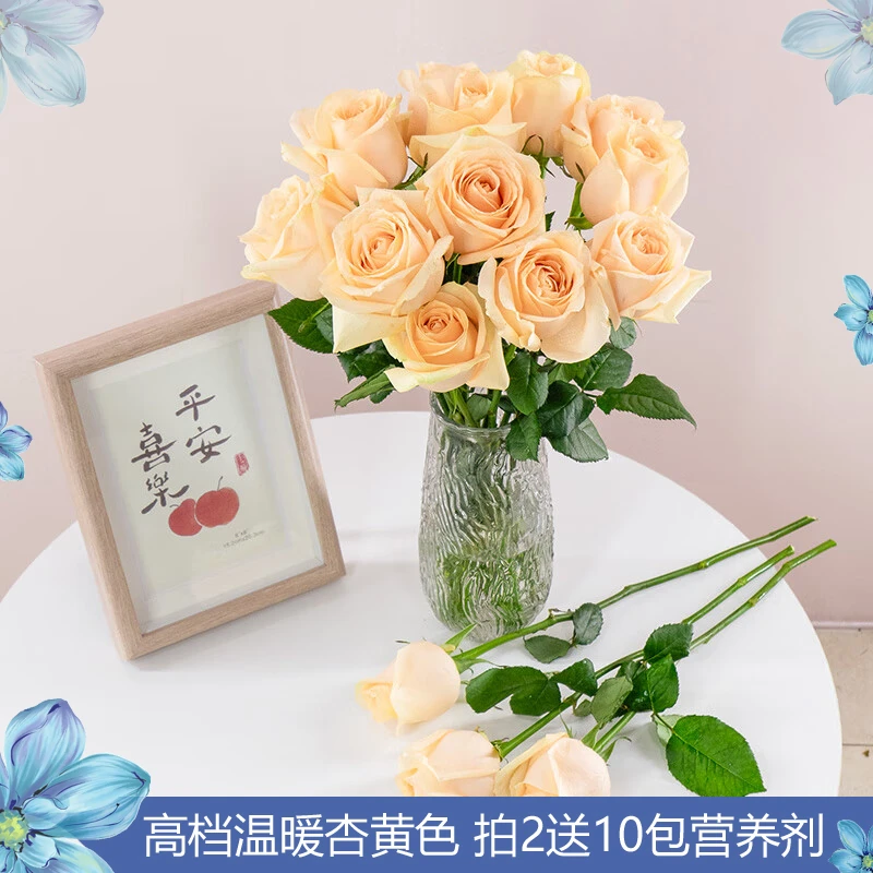 【高档温暖杏黄色】单头玫瑰蜜桃雪山C级10枝【两单送10袋营养剂）