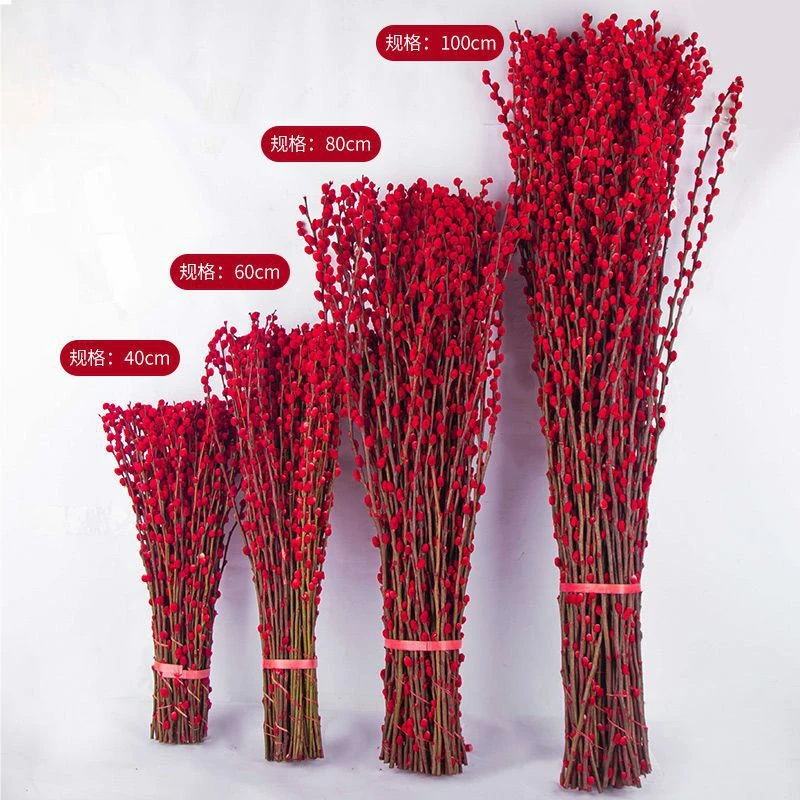 银柳真花鲜枝春节年宵花卉水培植物干花红色银柳客厅室内装饰