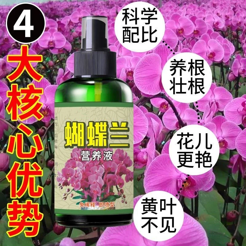 蝴蝶兰营养液【免稀释】快速促花剑开花防黄叶烂根黑斑病叶面肥-