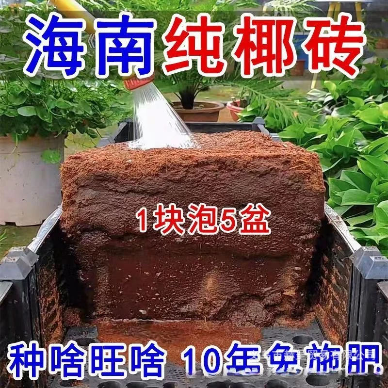 高泡发椰砖营养土压缩椰糠脱盐种菜养花通用型土壤种植大块椰糠土