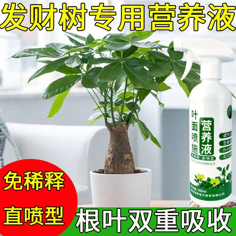 发财树专用营养液治黄叶烂根叶枯萎催新芽一喷绿植物通用有机肥料