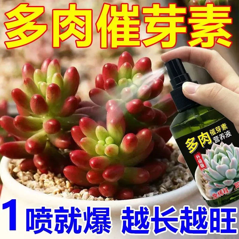 【催芽】多肉爆芽素生根催芽增色剂多肉营养液复合肥花肥料盆栽-