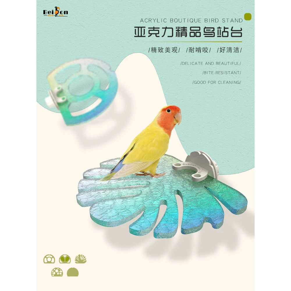 鹦鹉站架亚克力玄风虎皮牡丹小型鹦鹉鸟站站站杆磨爪用品玩具精品