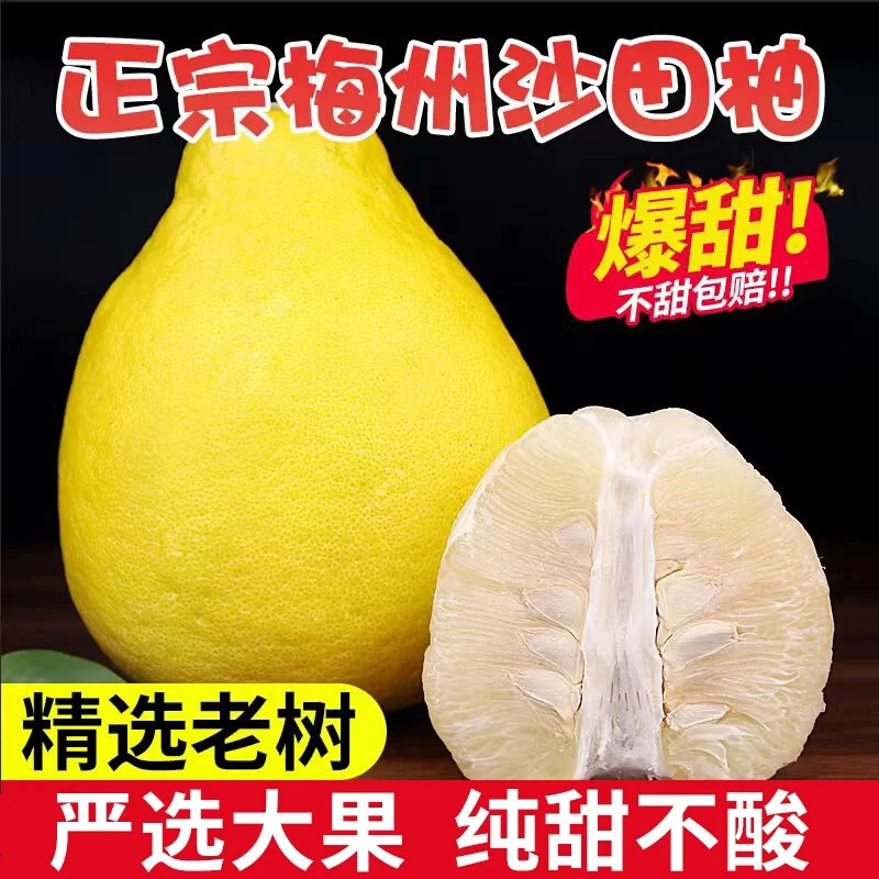 正宗梅州金柚产地直发应季新鲜纯甜水果孕妇非容县沙田柚