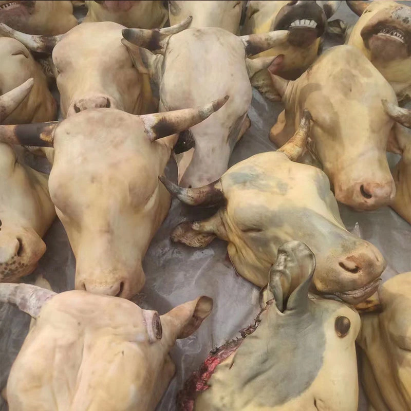 一斤八元新鲜牛头一整个带舌头牛头（联系客服称重改价）