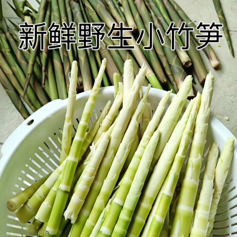 湖北野生竹笋野生小竹笋当季现采新鲜脆嫩春笋炒肉凉拌去壳小青笋