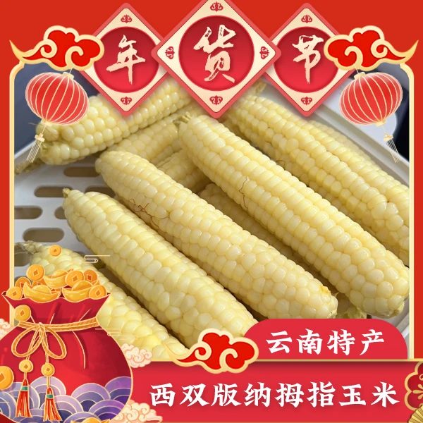 新鲜优质香甜食用⽩糯拇指⽟⽶380g-真空小礼品袋云南西双版纳