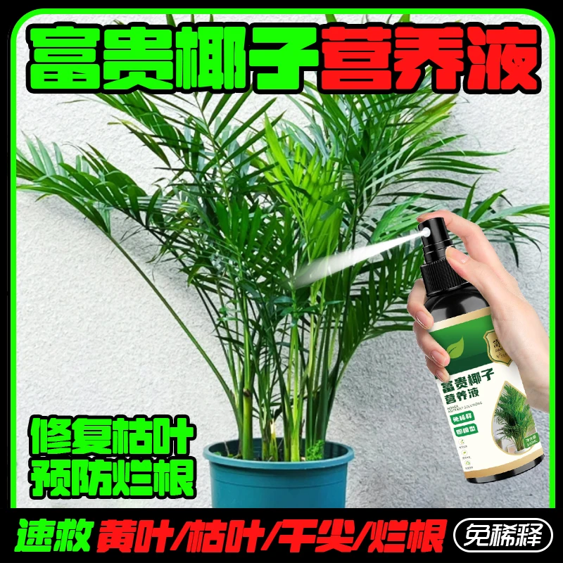 富贵椰子专用营养液黄叶掉叶枯萎干尖烂根一喷绿家用有机营养液