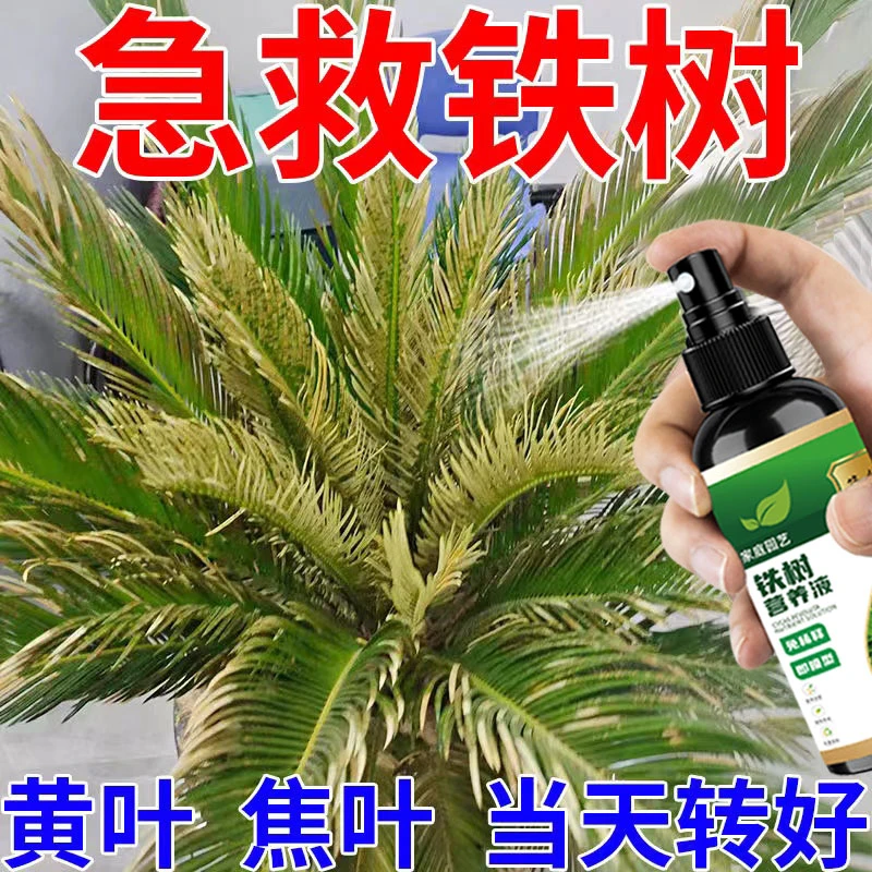 铁树专用营养液治叶子发黄枯萎干尖落叶卷叶助生长叶增绿液体肥料