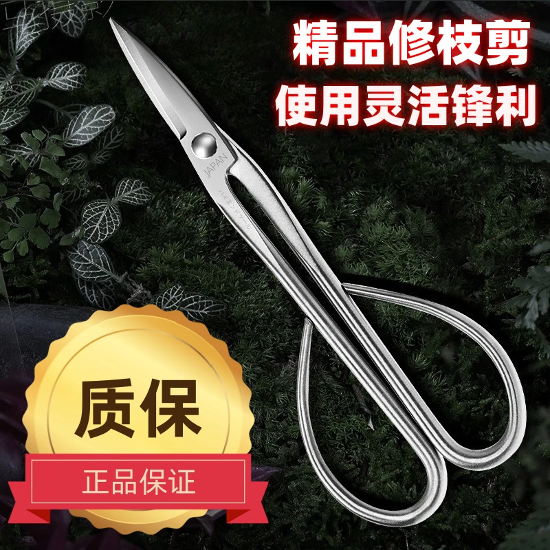 加长花艺盆栽盆景剪刀家用精品工具尖头剪子尖嘴剪枝树剪果剪修花