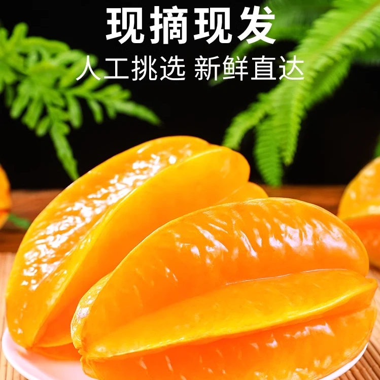 直正宗树上熟漳州新鲜杨桃水果产地直发皮薄肉厚清甜多汁