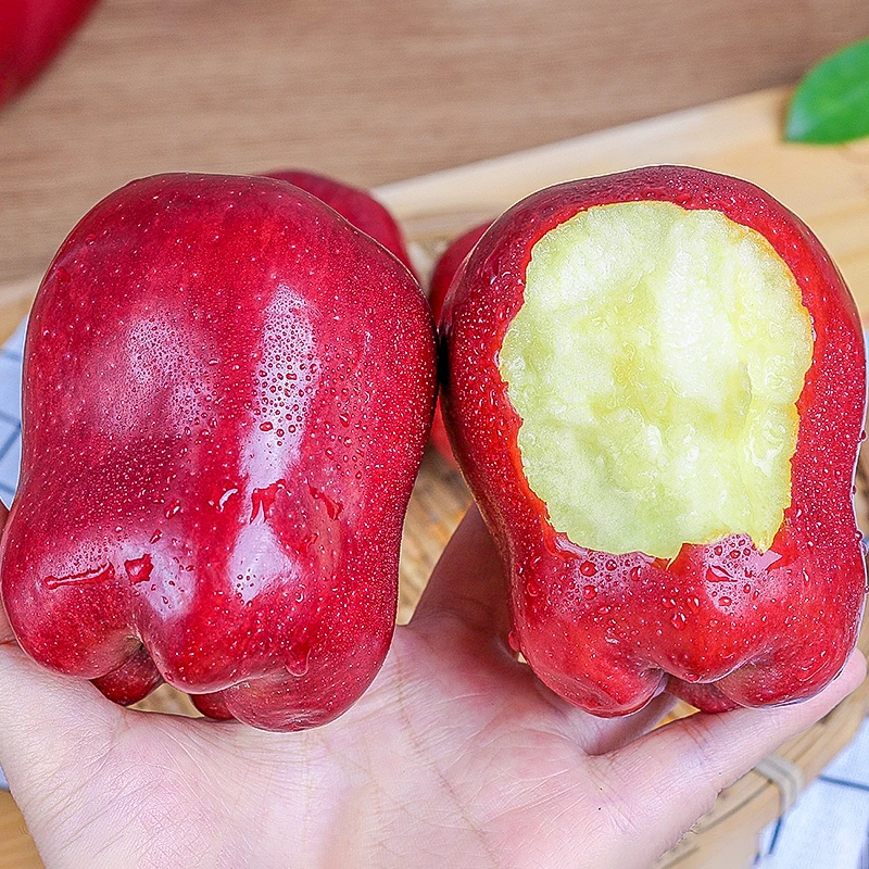 甘肃天水花牛苹果3/5/9斤新鲜水果当季整箱包邮孕妇平果红果粉面